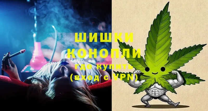 Бошки марихуана THC 21%  Александров 